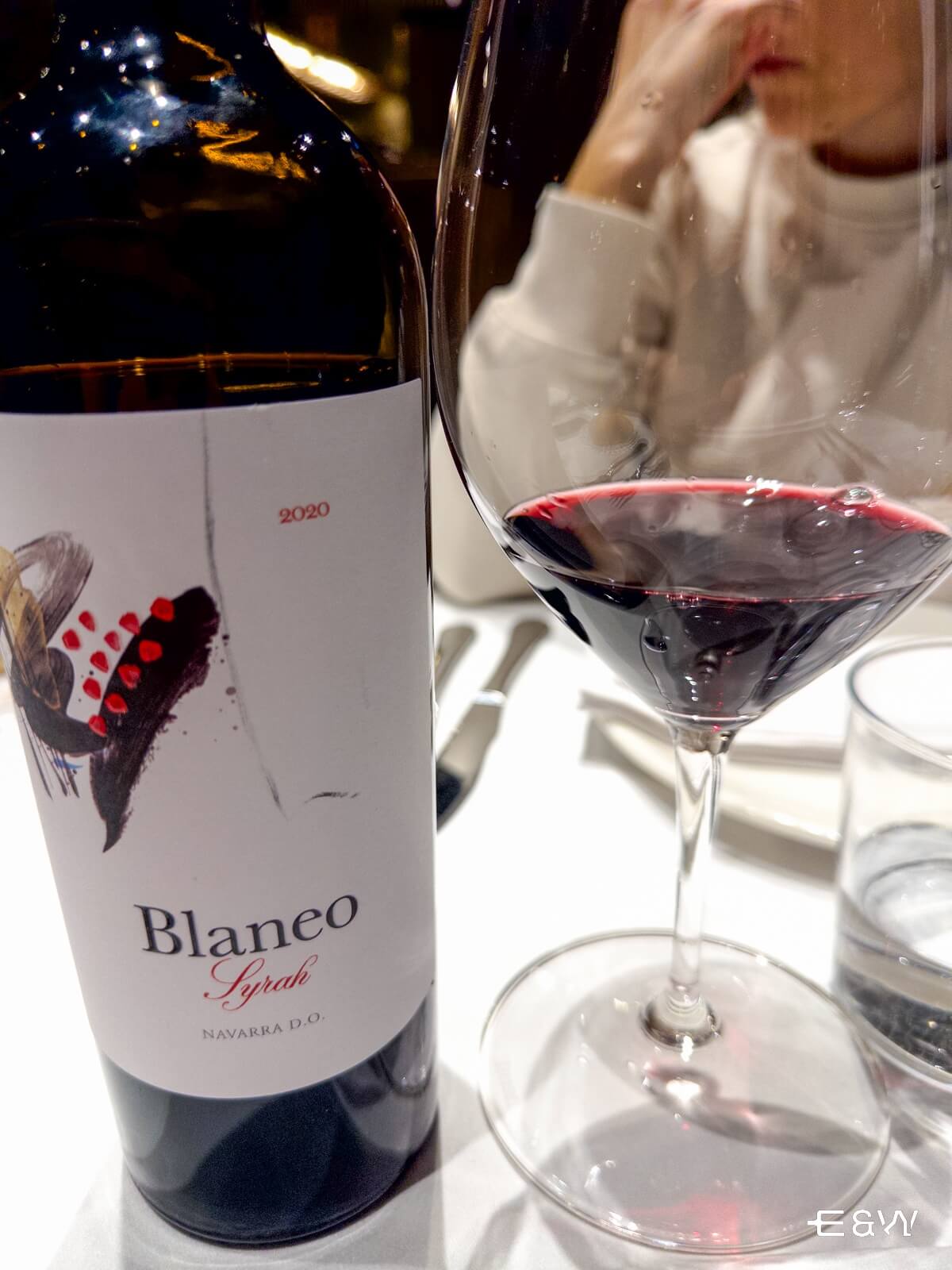 Gastronomía de Navarra y Aragón: platos típicos y más - Navarre Vino tinto