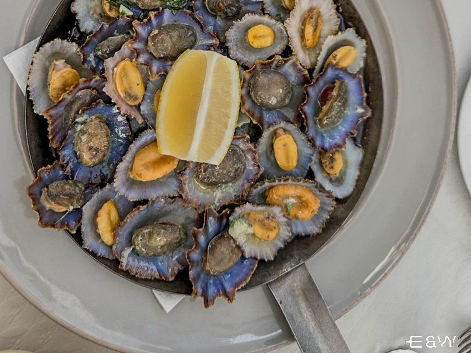 Qué hacer en Madeira: sabores y belleza incomparables - Lapas en Camara de Lobos