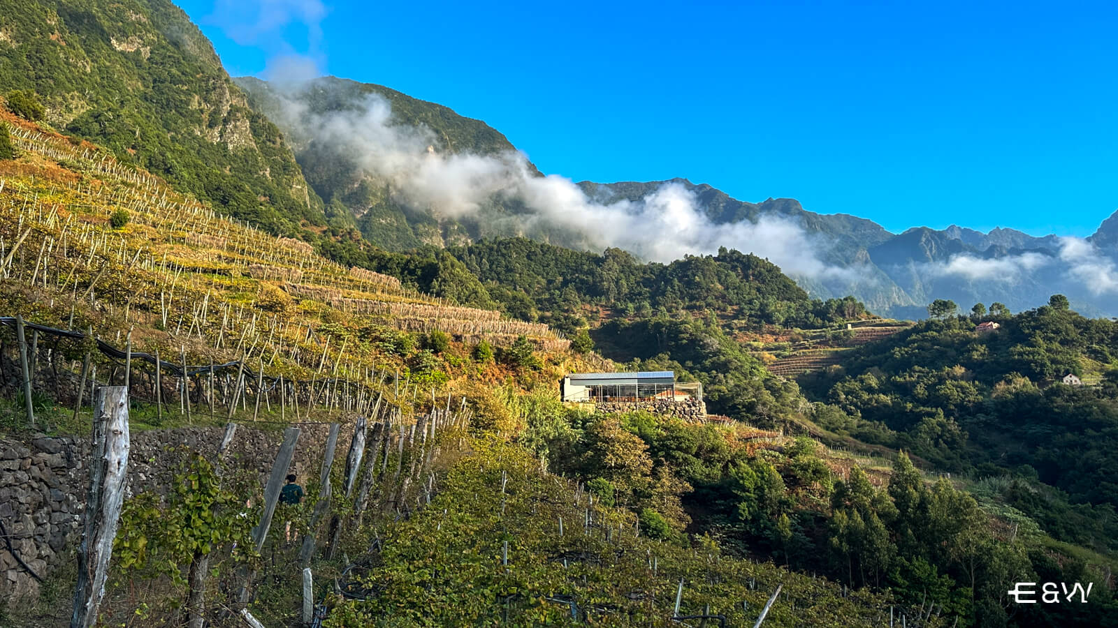 Qué hacer en Madeira: sabores y belleza incomparables - Bodega Quinta do Barbusano