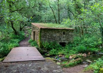  A Fraga River Valley Trail, Goat Cheese Farm & Premium Galician Beef of Moaña