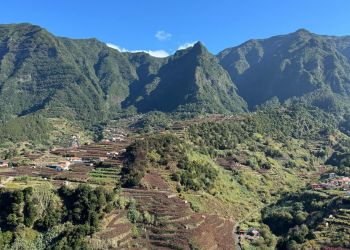 Madeira Gastronomic Jeep Tour: North Coast Nature & Wine Country with tasting