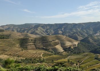 Escapada a Oporto y al Valle del Duero: una experiencia enogastronómica 