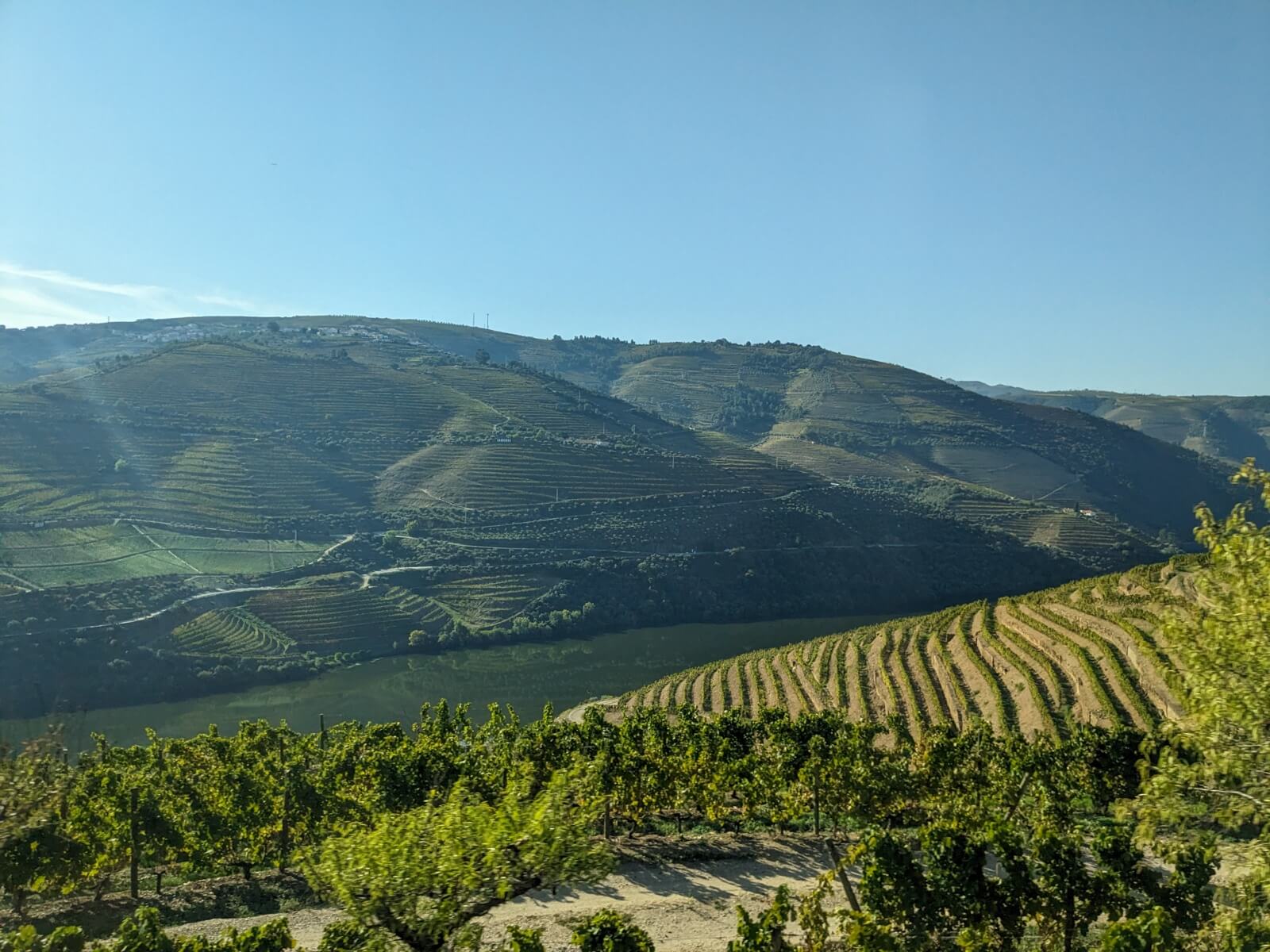 Portuguese food: the best wines and traditional dishes - Wine Tasting in the Douro Valley