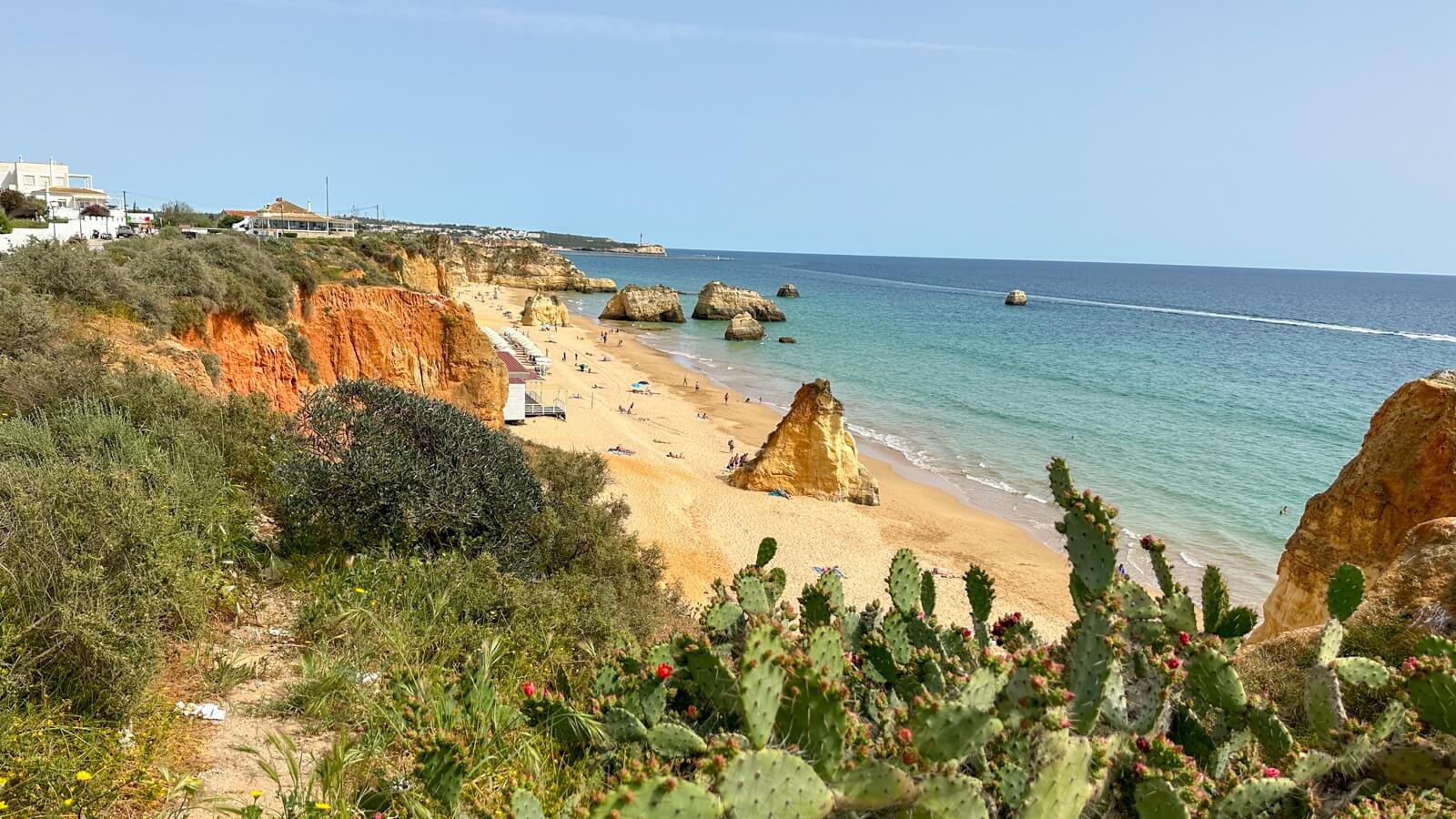 Portuguese food: the best wines and traditional dishes - Beaches of the Algarve, Portugal