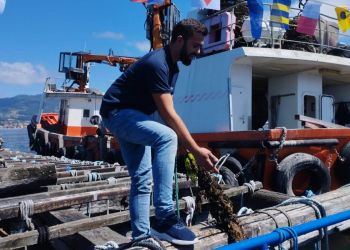 Sustainable Mussel Boat Cruise and Tapas Food Tour in Vigo