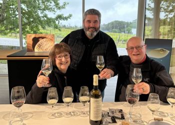 Tour por la Región Vinícola de Albariño y el Pueblo Costero de Baiona desde Vigo o Baiona