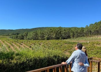 Tour por la Región Vinícola de Albariño y el Pueblo Costero de Baiona desde Vigo o Baiona