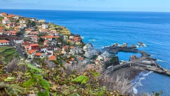 Seixal Vineyard & Beach Walk on the Wild Northern Coastal Cliffs of Madeira Island