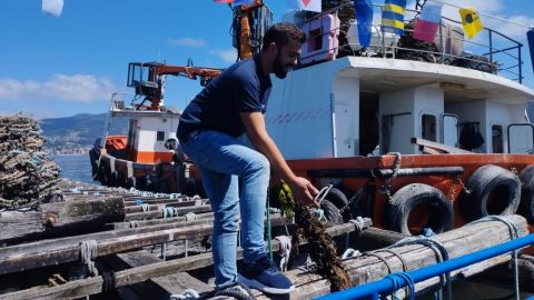 Ruta  Sostenible en Barco Mejillonero y Tour Gastronómico de Tapas en Vigo